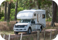 Navigator  Enjoying  The Summer